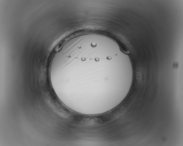 X0000112490488200909071224