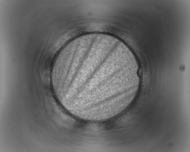 X0000112490489200909071224