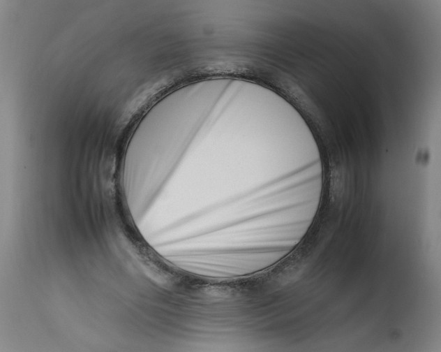 X0000112490490200909071224