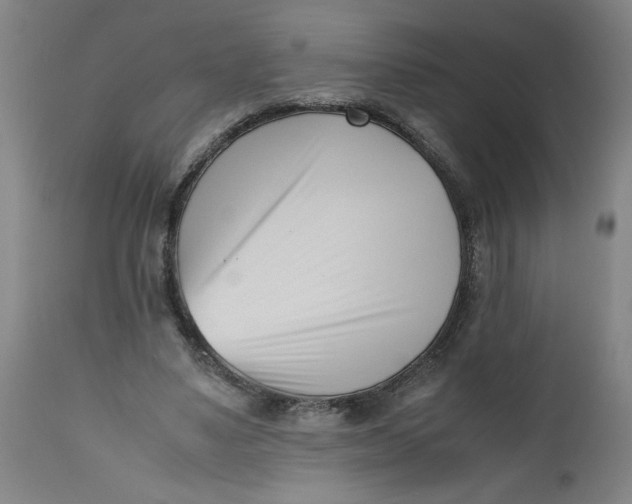 X0000112490491200909071224