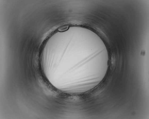 X0000112490492200909071224