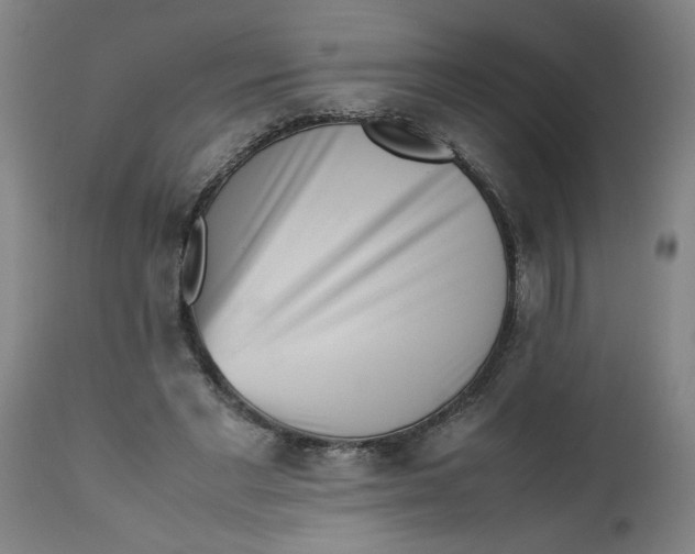 X0000112490493200909071224
