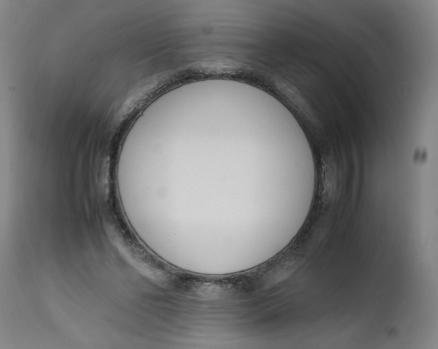 X0000112490494200909071224