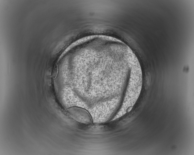 X0000112490497200909071224