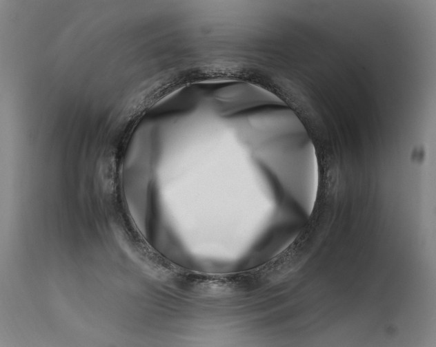 X0000112490498200909071224