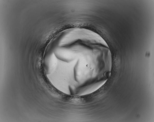 X0000112490499200909071224