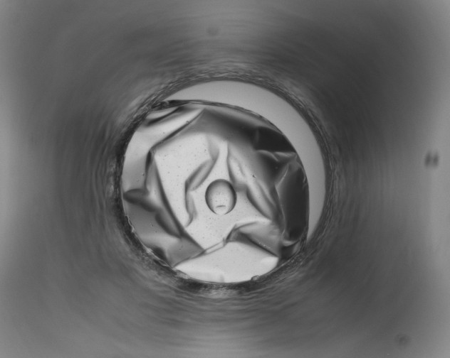 X0000112490501200909071224
