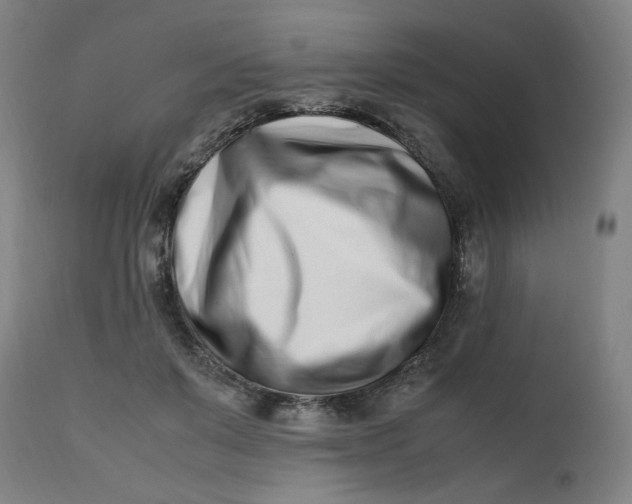 X0000112490503200909071224