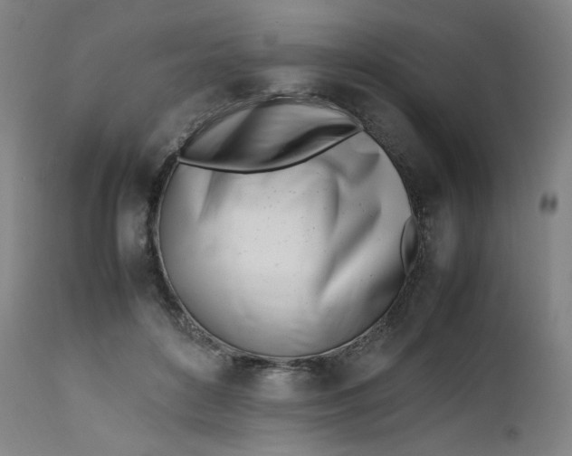 X0000112490504200909071224