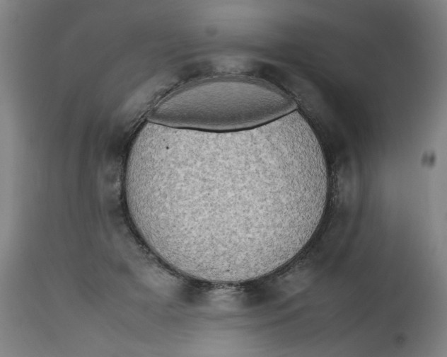 X0000112490505200909071224