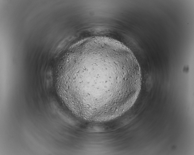 X0000112490506200909071224