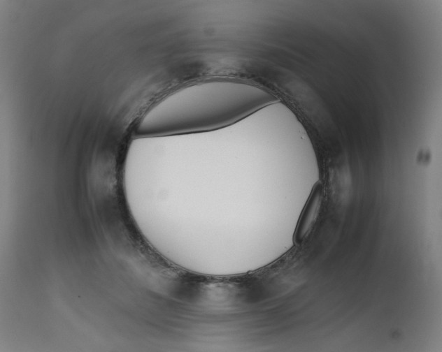 X0000112490508200909071224