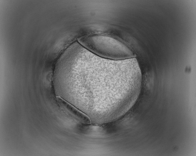 X0000112490509200909071224