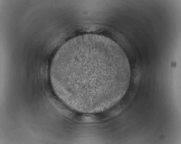 X0000112490510200909071224