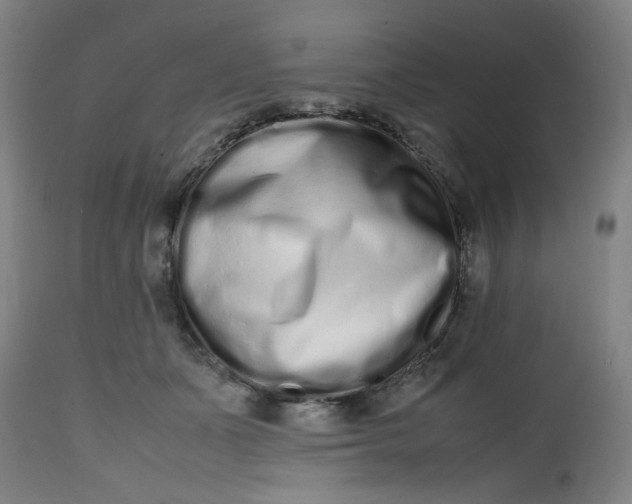 X0000112490511200909071224