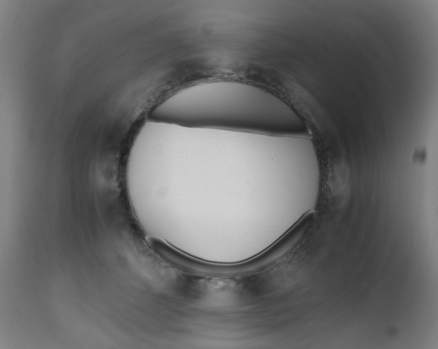 X0000112490512200909071224
