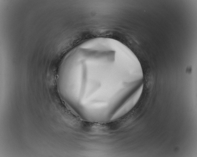 X0000112490515200909071224