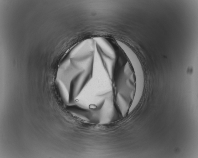 X0000112490517200909071224