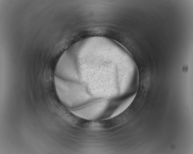 X0000112490518200909071224