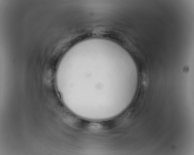X0000112490519200909071224