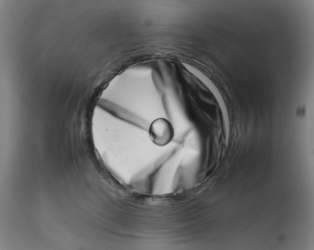 X0000112490520200909071224