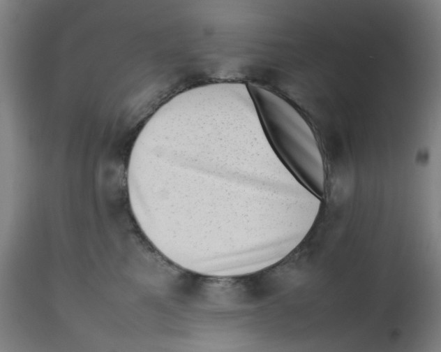 X0000112490521200909071224