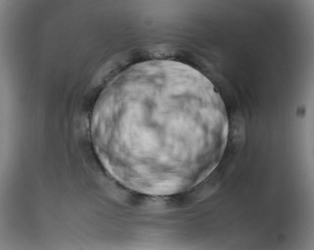 X0000112490523200909071224