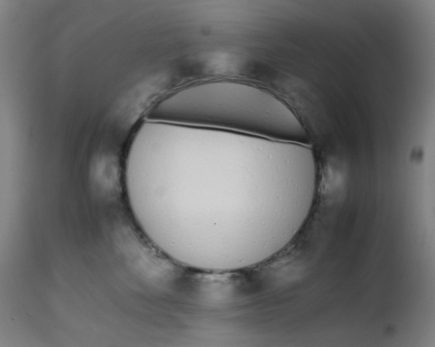 X0000112490524200909071224