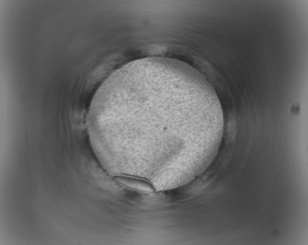 X0000112490525200909071224