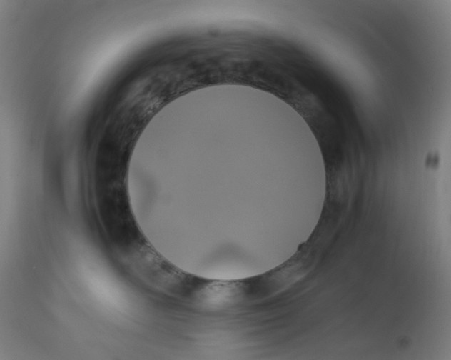 X0000112490526200909071224