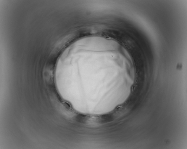 X0000112490527200909071224
