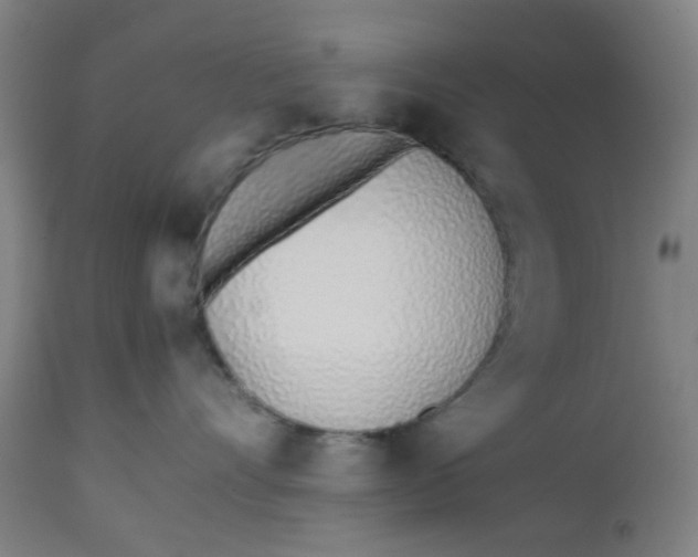 X0000112490528200909071224