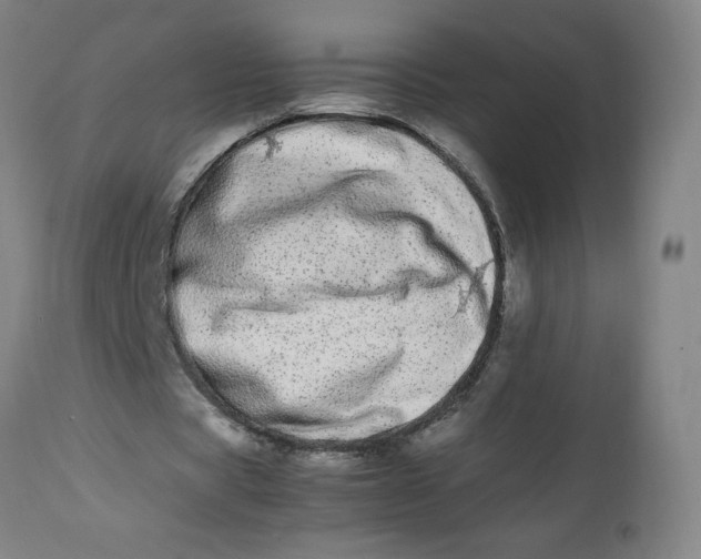 X0000112490529200909071223