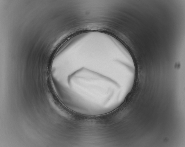 X0000112490530200909071223