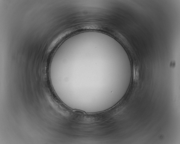 X0000112490531200909071223