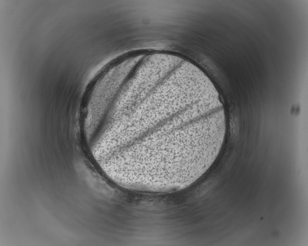 X0000112490532200909071223