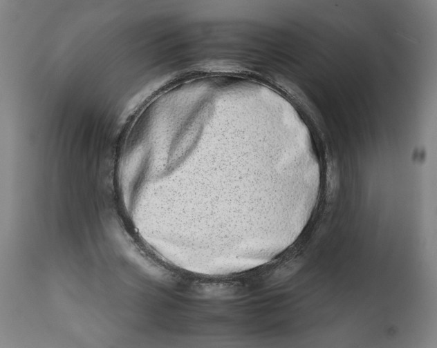 X0000112490533200909071223