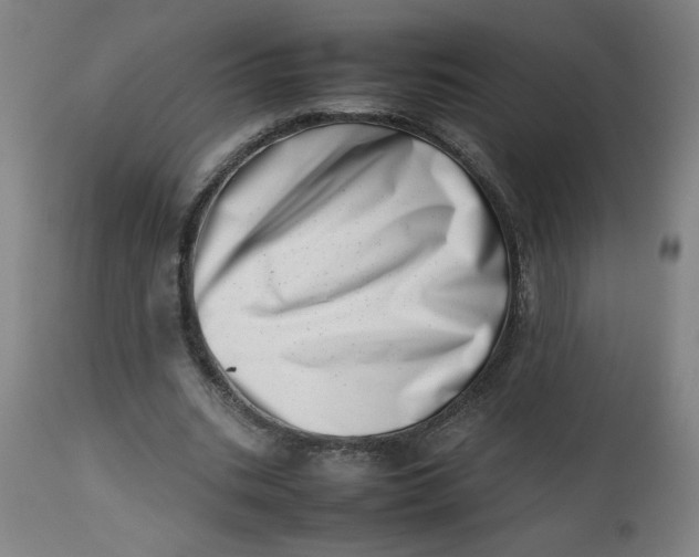 X0000112490535200909071223