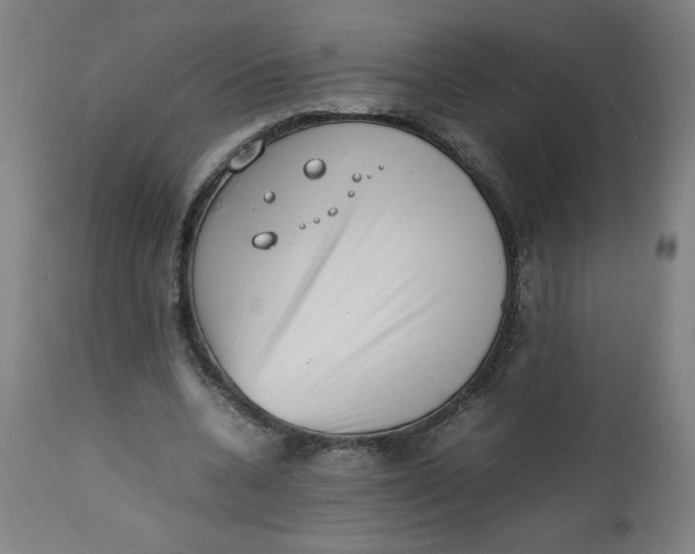 X0000112490536200909071223
