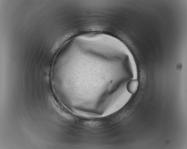 X0000112490537200909071223