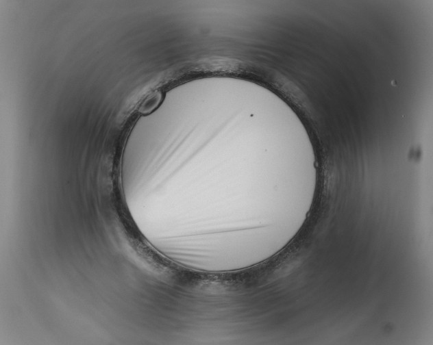 X0000112490538200909071223