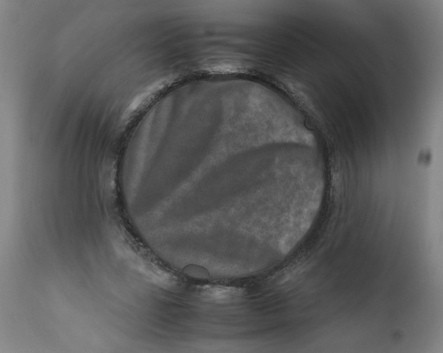 X0000112490539200909071223