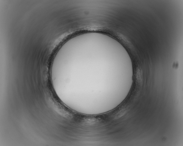 X0000112490540200909071223