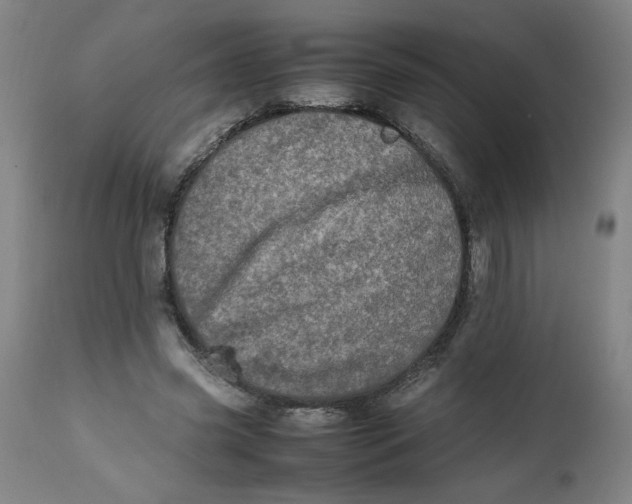 X0000112490541200909071223