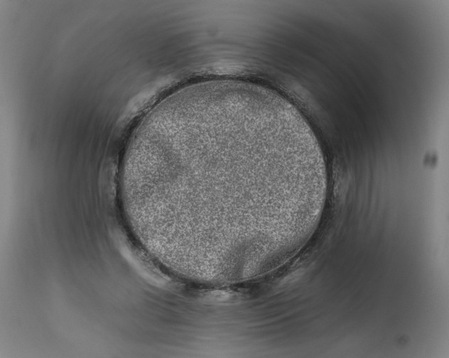 X0000112490542200909071223