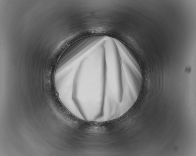 X0000112490543200909071223