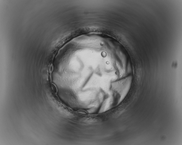 X0000112490545200909071223