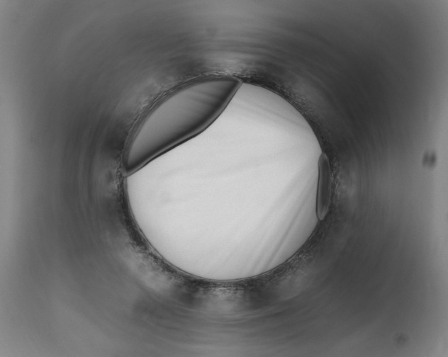 X0000112490546200909071223