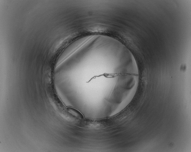 X0000112490547200909071223