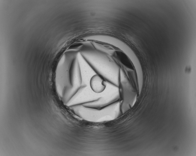 X0000112490548200909071223
